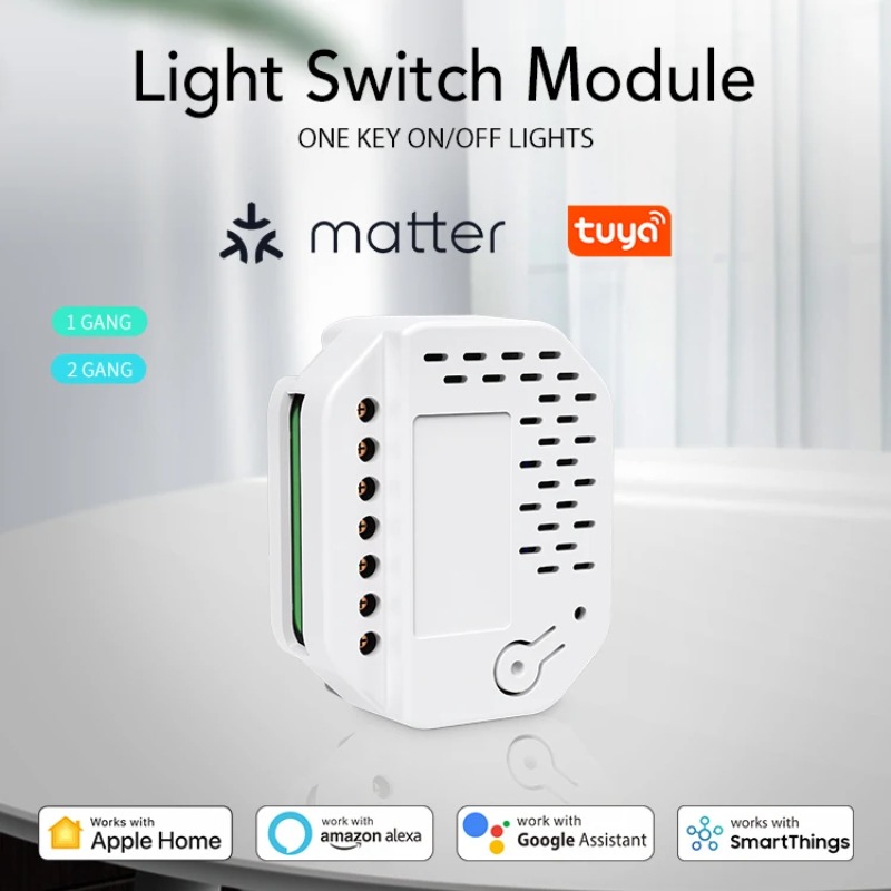 Matter 라이트 스위치 모듈 2Gang Relay  - Smart Home Automation 리뷰 및 가격